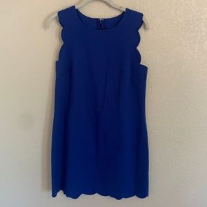Blue scalloped J Crew shift dress